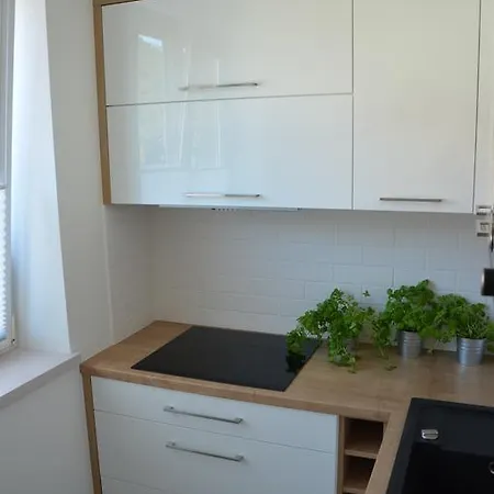 Apartament Na Starowce Grobla I Gdansk Room photo